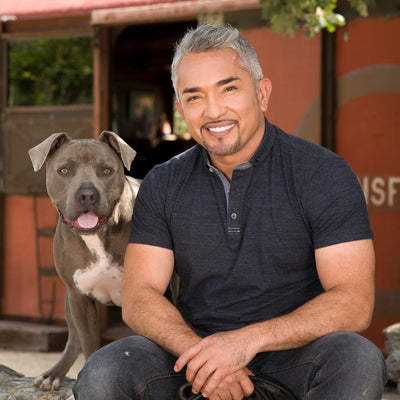 Cesar Millan