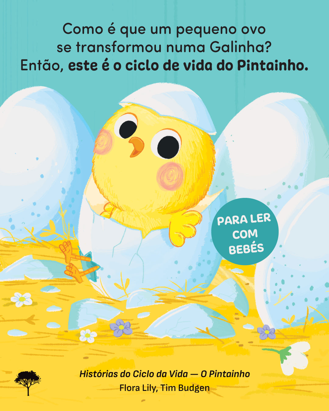 Histórias do Ciclo da Vida - O Pintainho