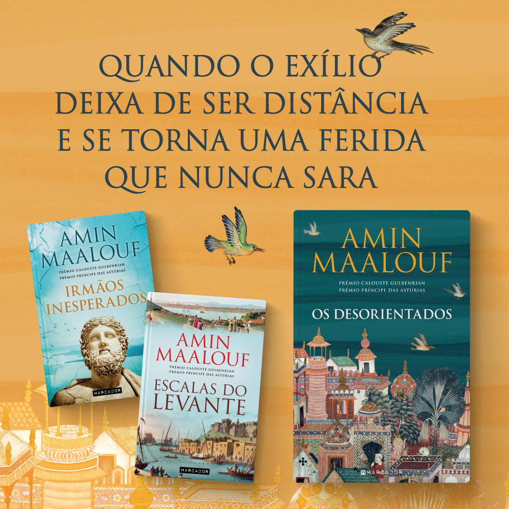 Imagem 6 do slideshow