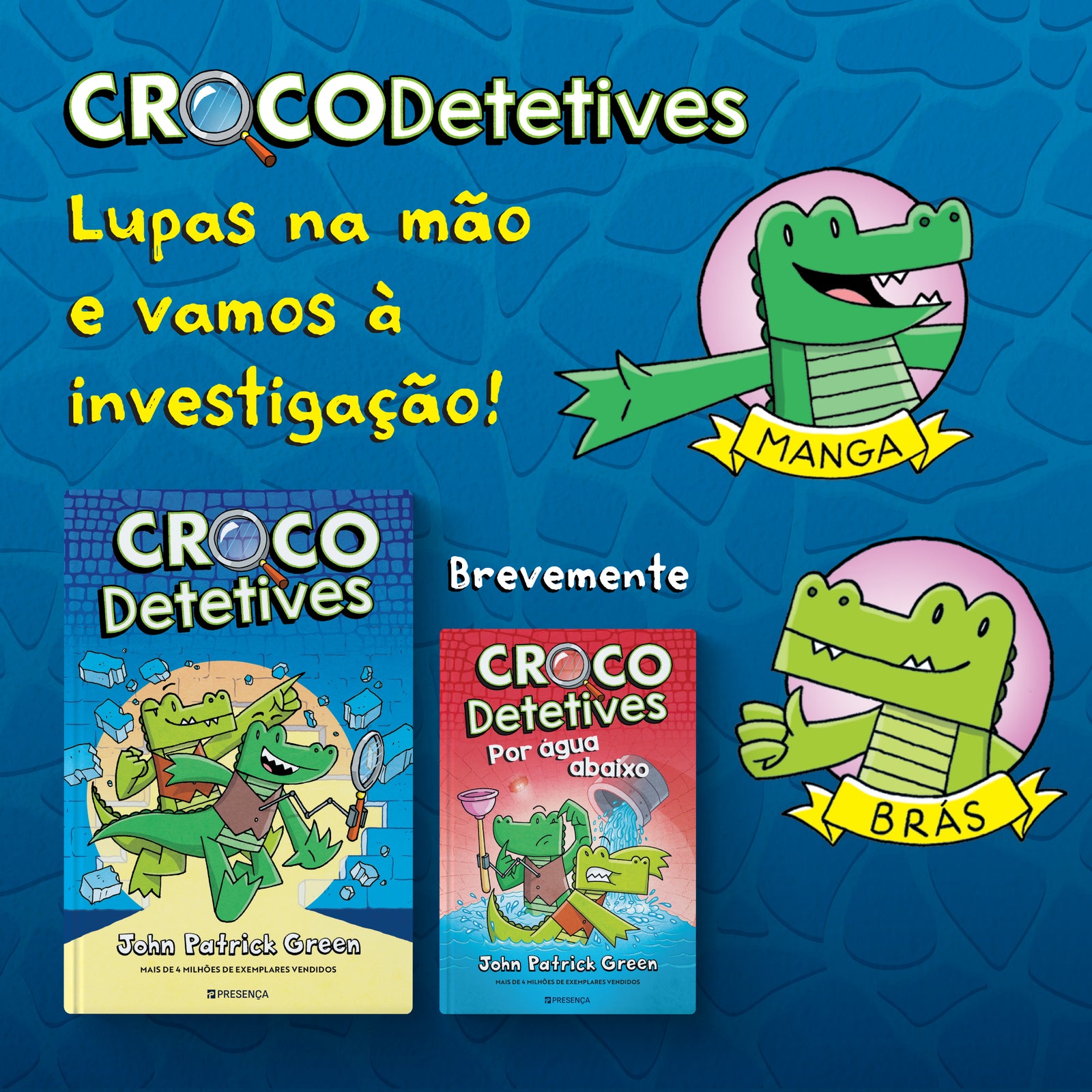 Imagem 3 do slideshow