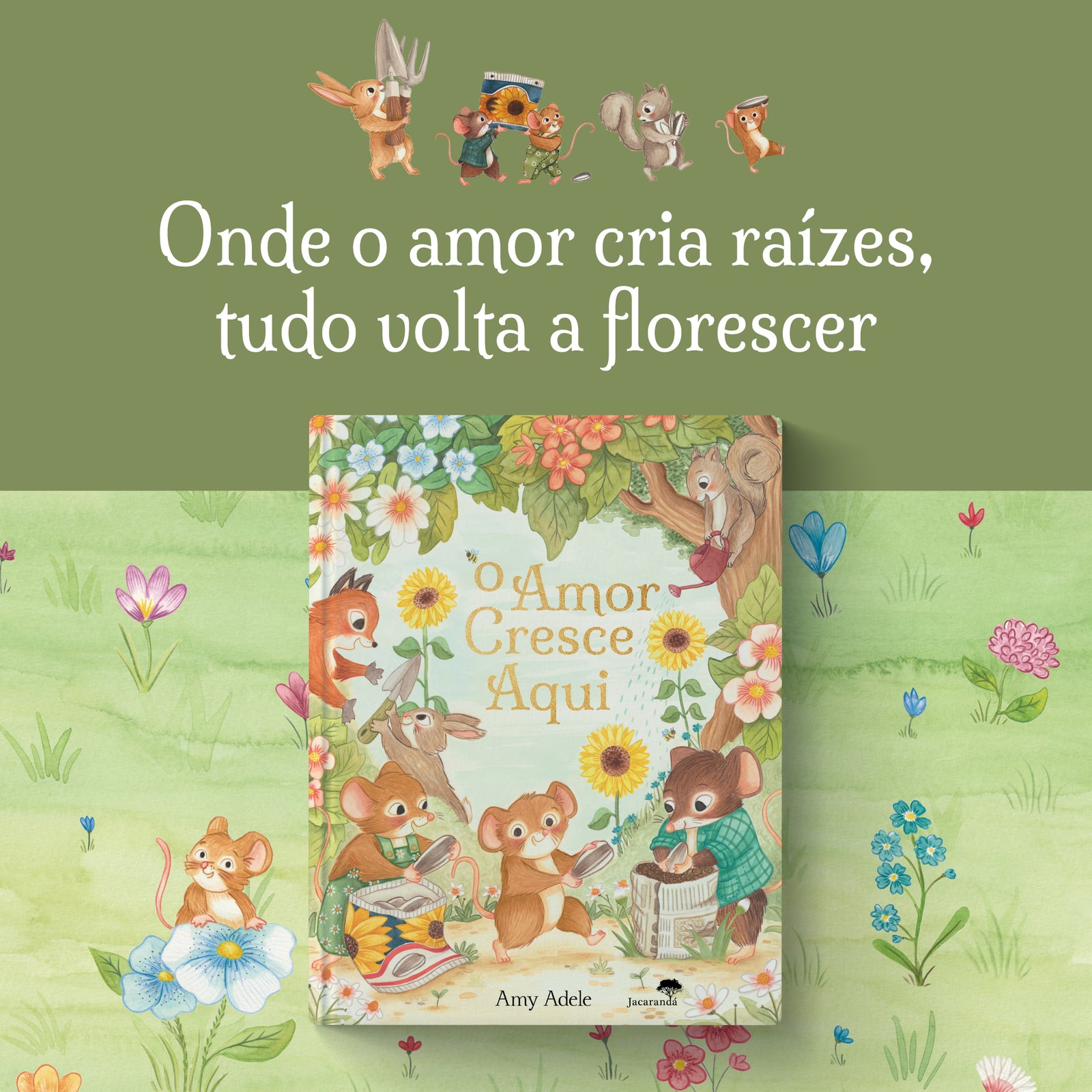 Imagem 5 do slideshow