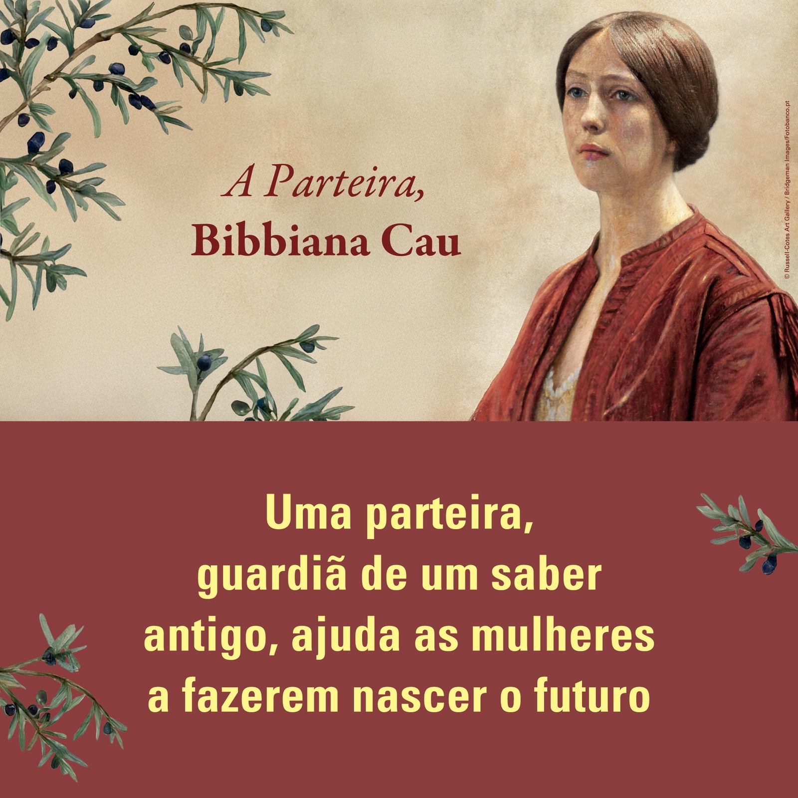 Imagem 4 do slideshow