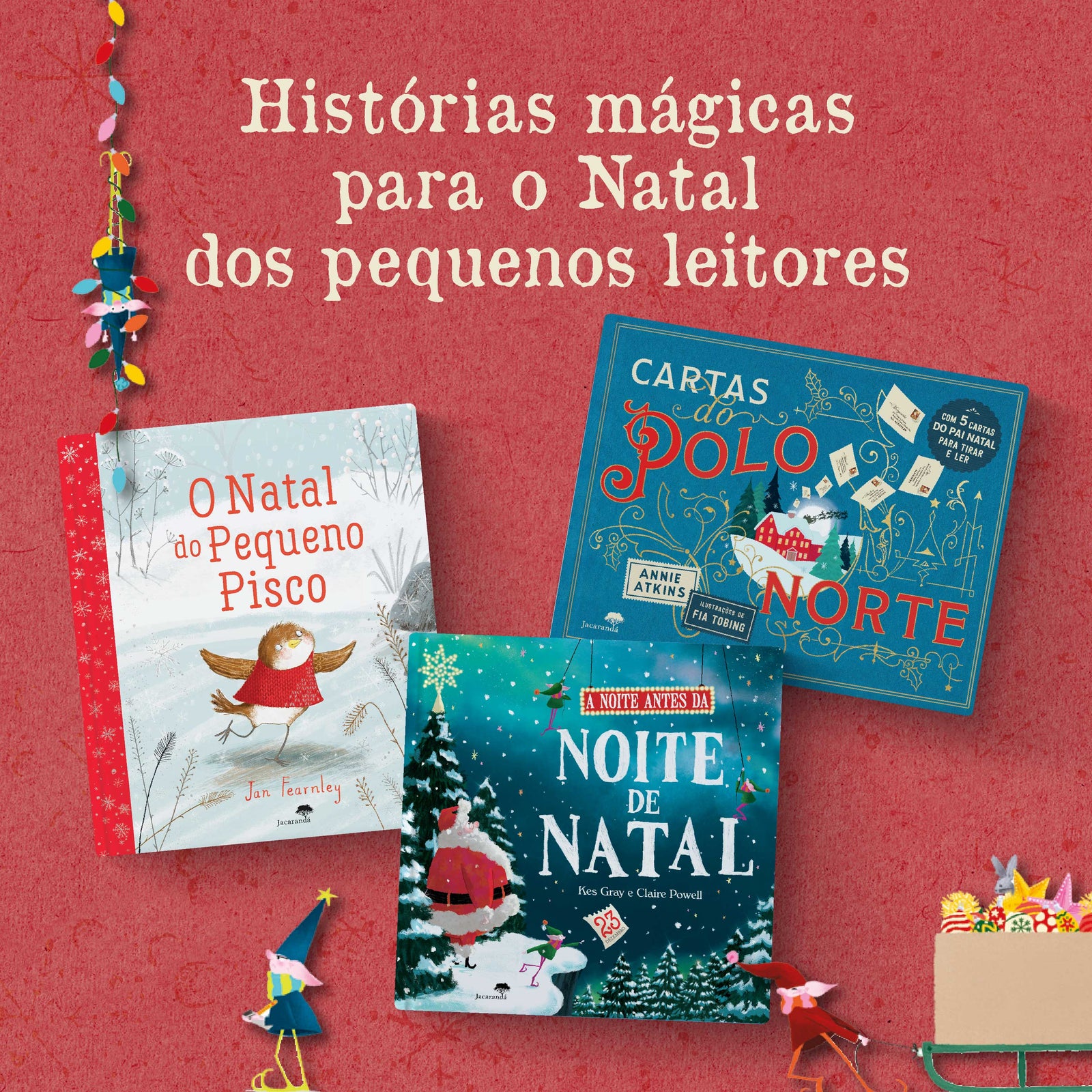 Imagem 4 do slideshow