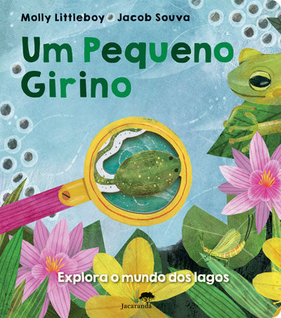 Um Pequeno Girino