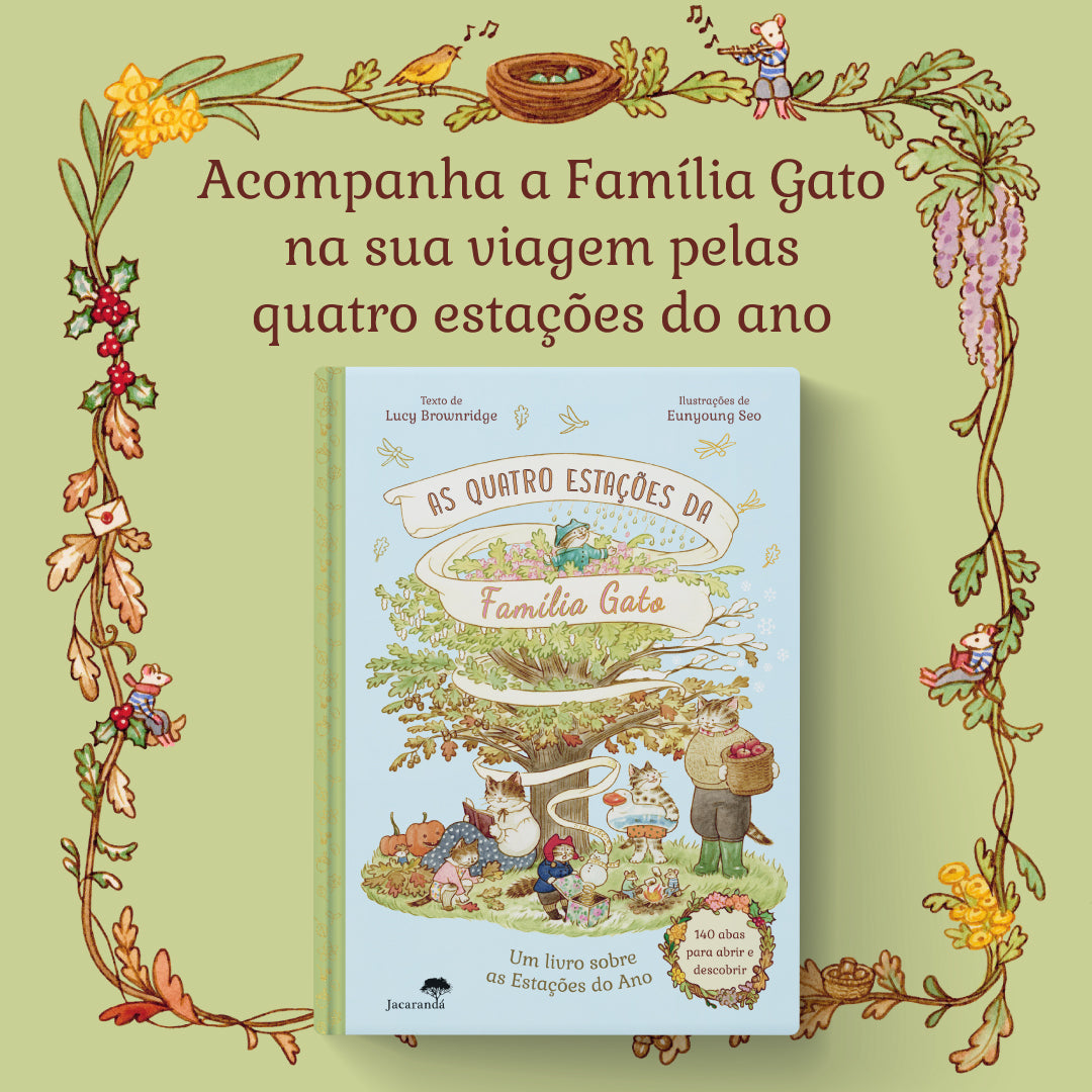 Imagem 7 do slideshow