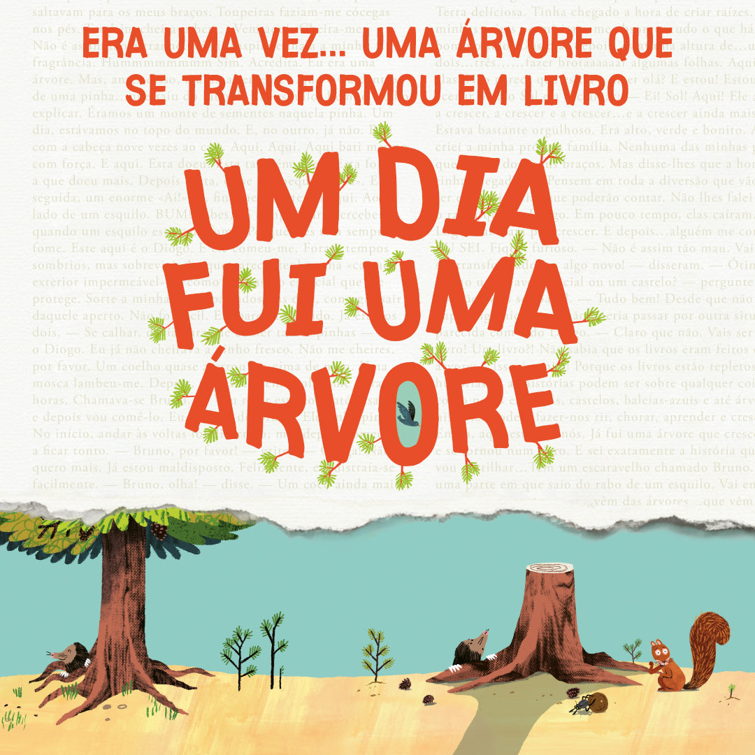 Imagem 7 do slideshow