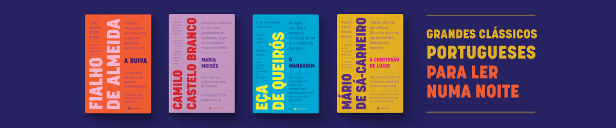 Ver slide 8