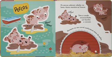 Constrói e Brinca Quinta