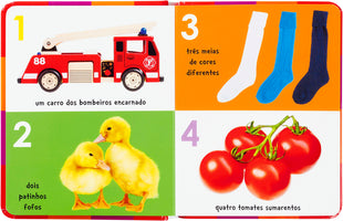 Os 100 Primeiros Números