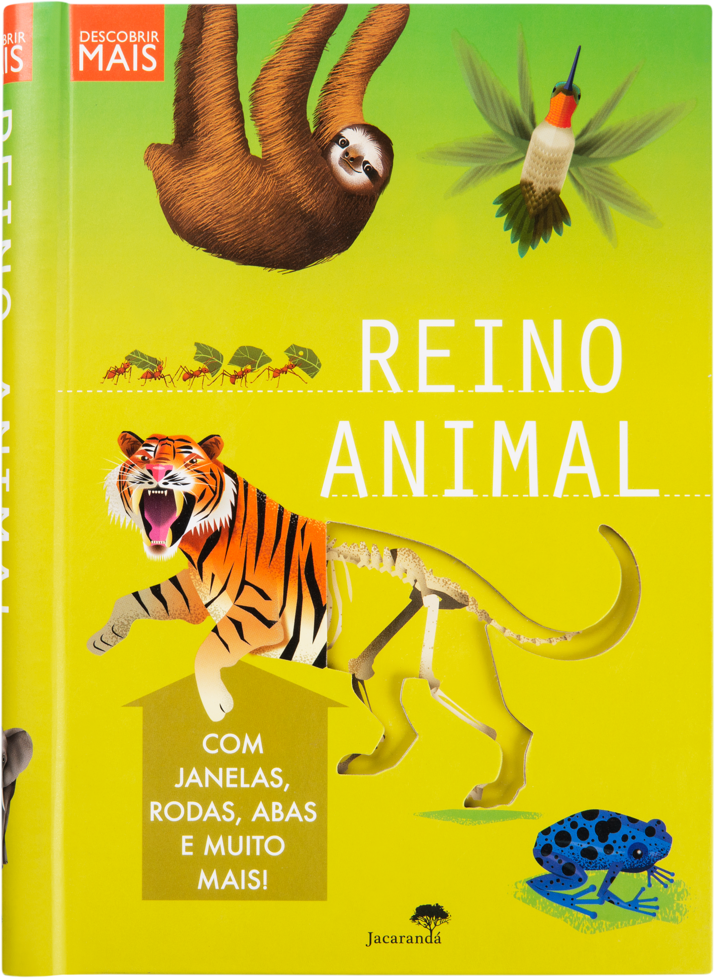 Descobre Mais - Reino Animal