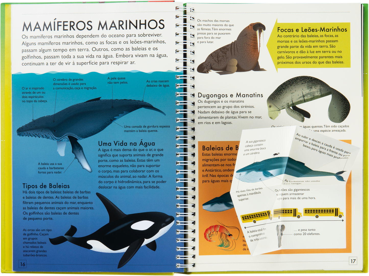 Descobre Mais - Reino Animal