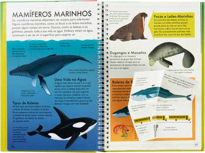 Descobre Mais - Reino Animal