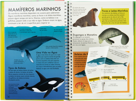 Descobre Mais - Reino Animal