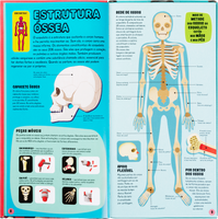 Constrói o Corpo Humano