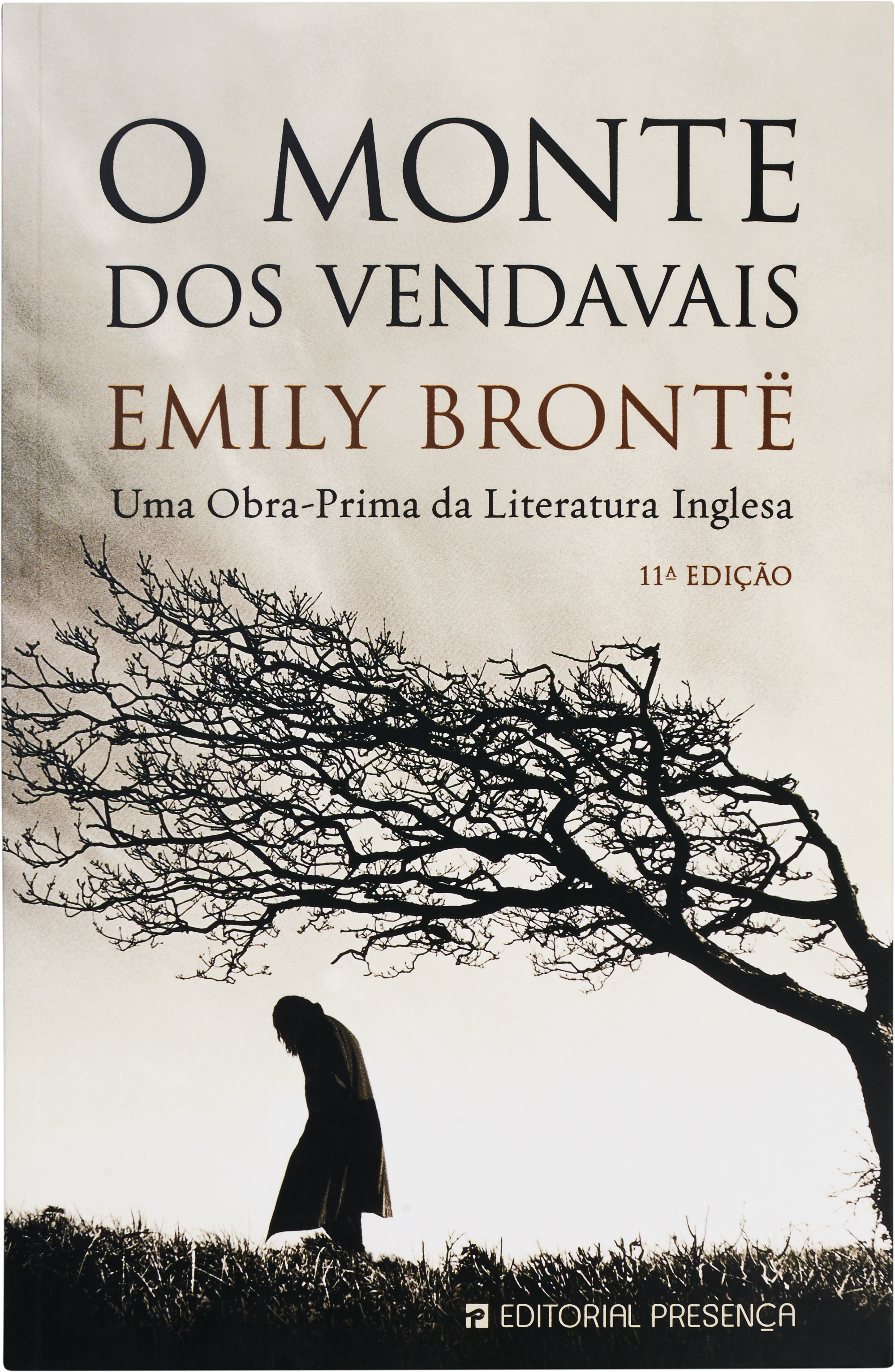 O Monte dos Vendavais