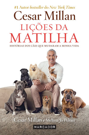 Lições da Matilha