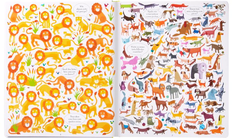 Procura e Descobre - os Animais